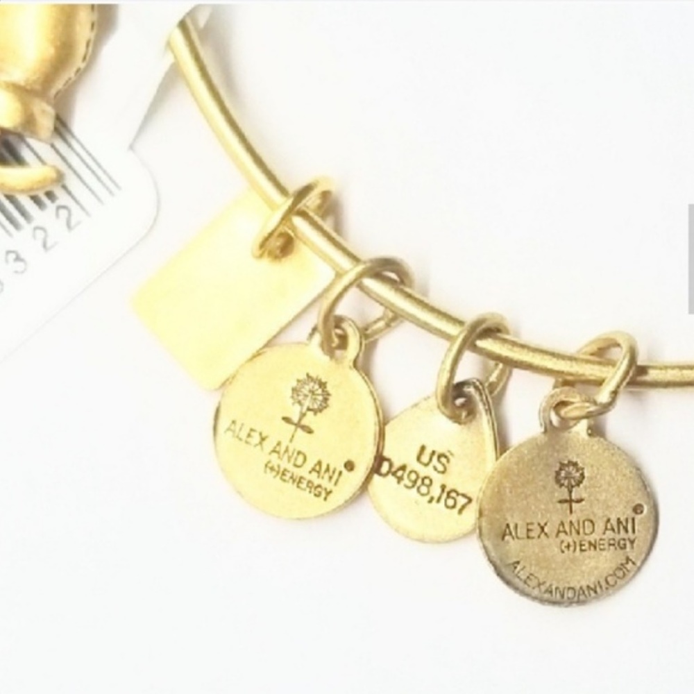 NWT Retired Alex & Ani Gold Ice Skating Bangle - Picture 4 of 6